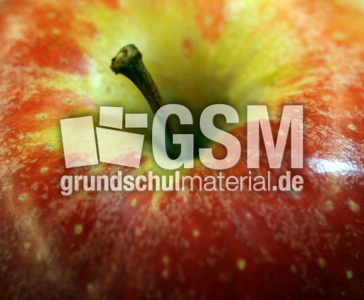 6-Apfel.jpg